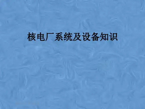 核电厂系统及设备知识