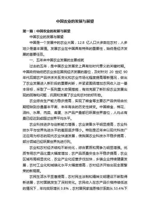 中国农业的发展与展望