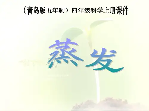 《蒸发》ppt课件(3篇)