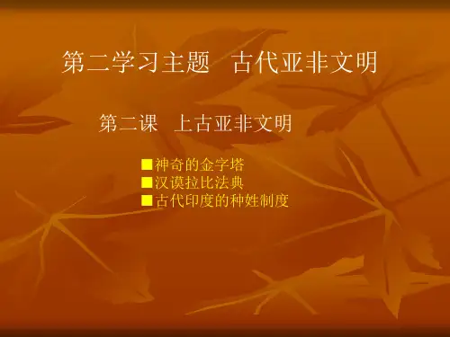 初中历史   上古亚非文明1 川教版精品课件