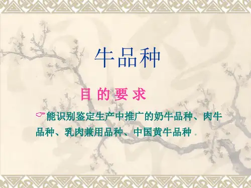 牛品种的识别