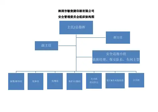 安全委员会组织架构图
