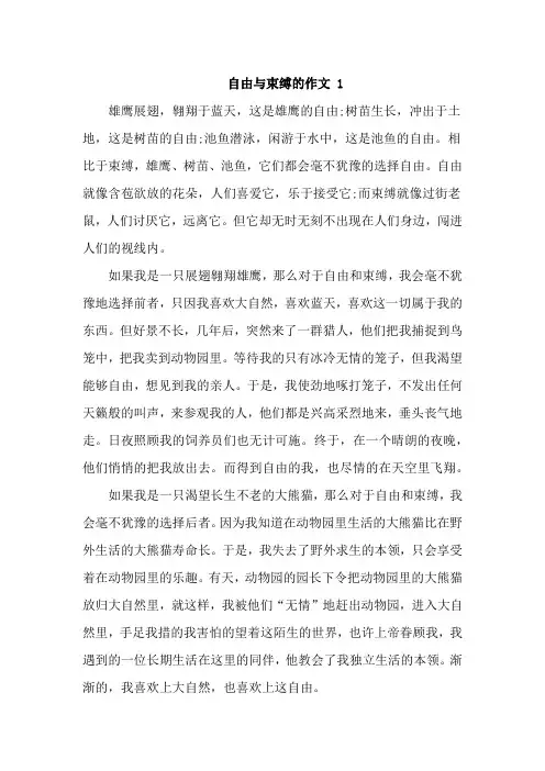 自由与束缚的作文800字议论文5篇