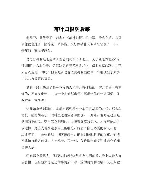 落叶归根观后感