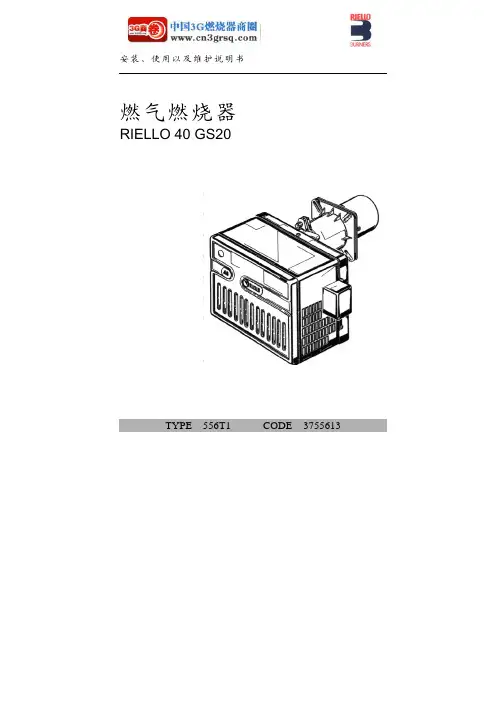 RIELLO 40 GS20燃气燃烧器 使用以及维护说明书