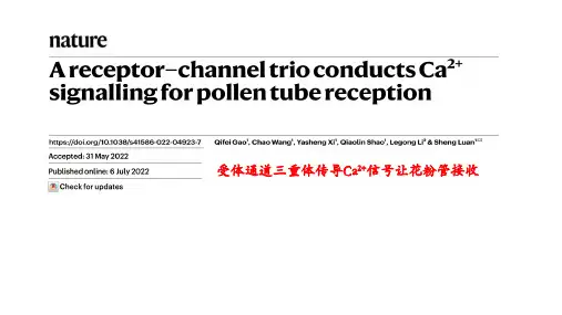 受体通道三重体传导Ca2+信号让花粉管接收