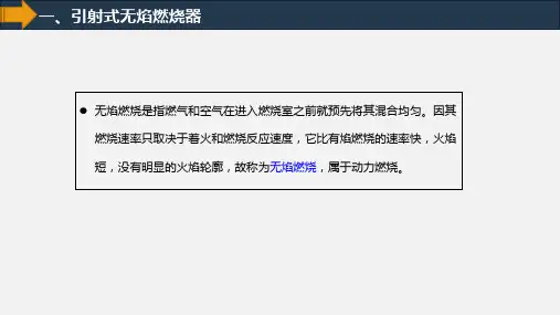工程燃烧学工程燃烧学29