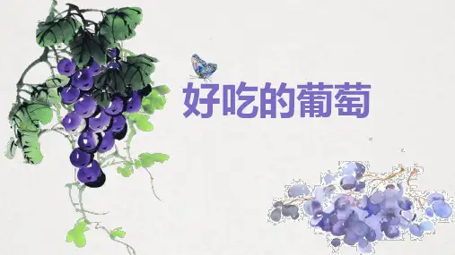 《水粉画葡萄》少儿水粉美术PPT课件