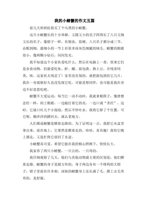 我的小螃蟹的作文五篇