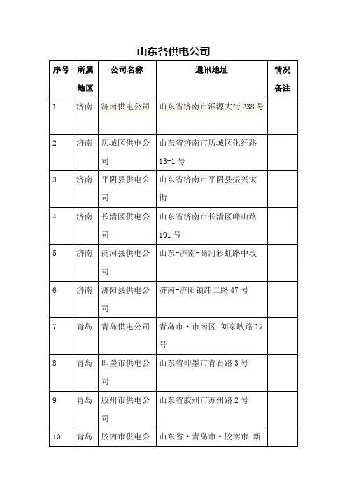 山东各供电公司情况
