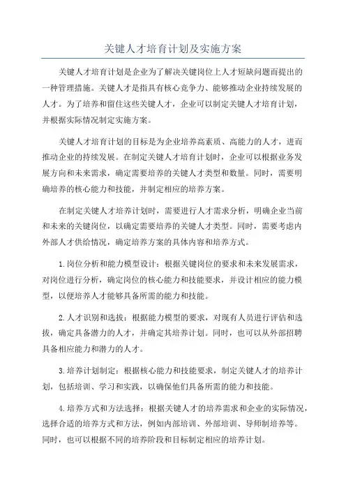 关键人才培育计划及实施方案