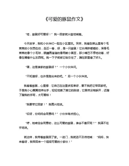 《可爱的豚鼠作文》