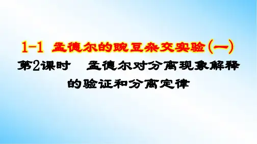 1-1 第2课时 孟德尔对分离现象解释的验证和分离定律