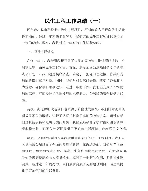 民生工程工作总结(一)