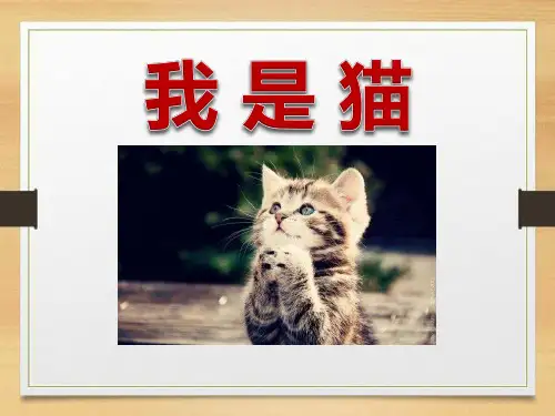 《我是猫》ppt课件