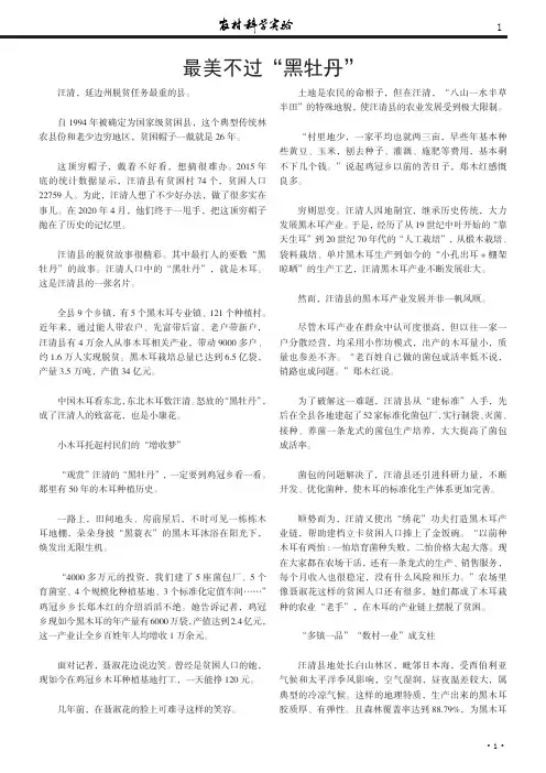 最美不过“黑牡丹”