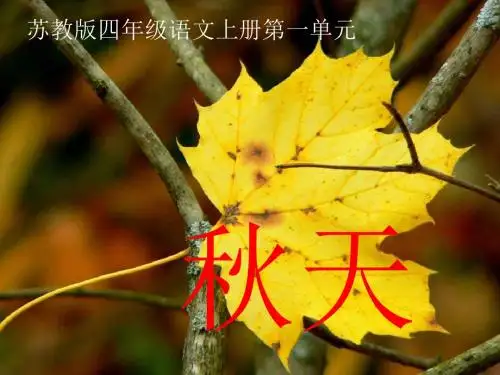 苏教版四年级上册《秋天》PPT课件1