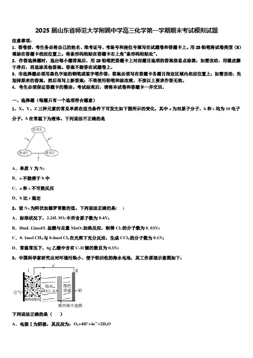 2025届山东省师范大学附属中学高三化学第一学期期末考试模拟试题含解析