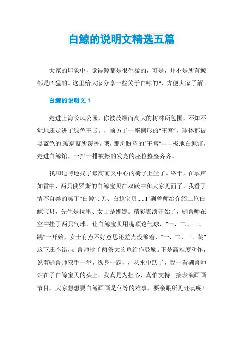 白鲸的说明文精选五篇