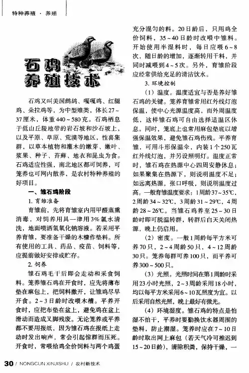 石鸡养殖技术
