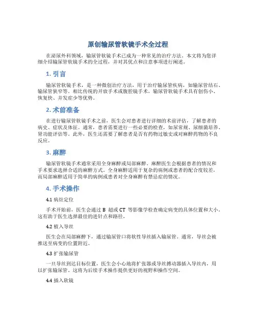 原创输尿管软镜手术全过程