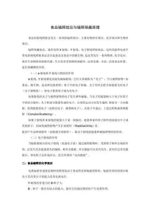 食品辐照效应与辐照保藏原理