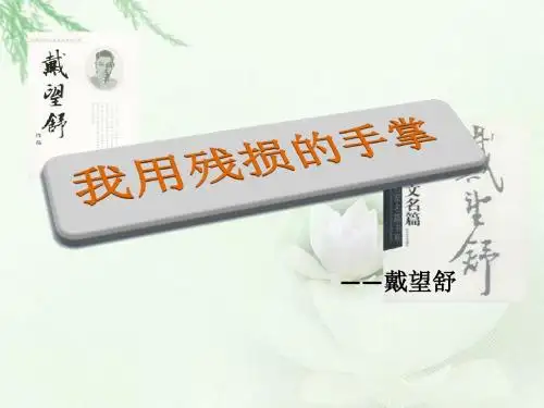 《我用残损的手掌》PPT课件9