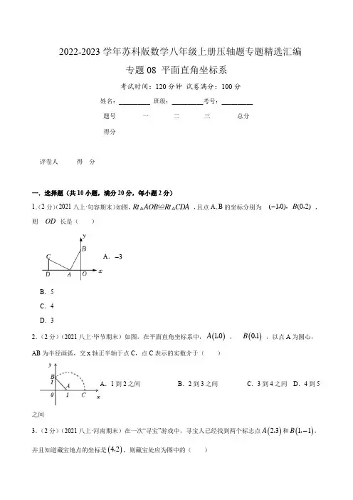 2022-2023学年江苏八年级数学上学期压轴题精练专题08 平面直角坐标系(含详解)