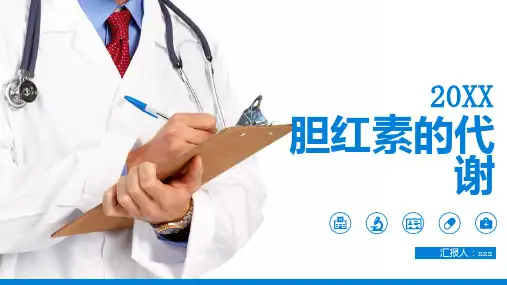 胆红素的代谢