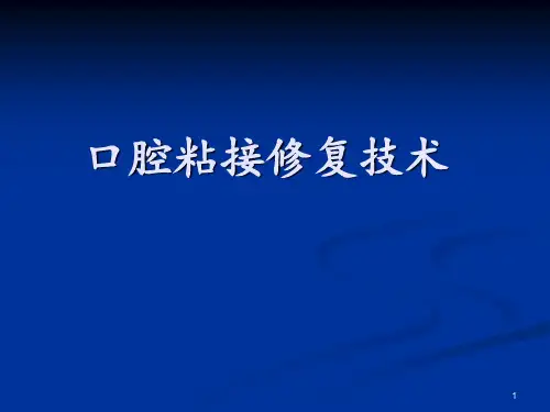 粘结修复技术 ppt课件