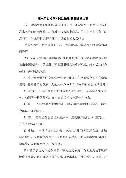 海水鱼白点病