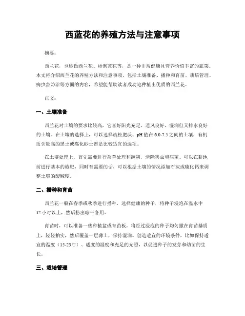 西蓝花的养殖方法与注意事项