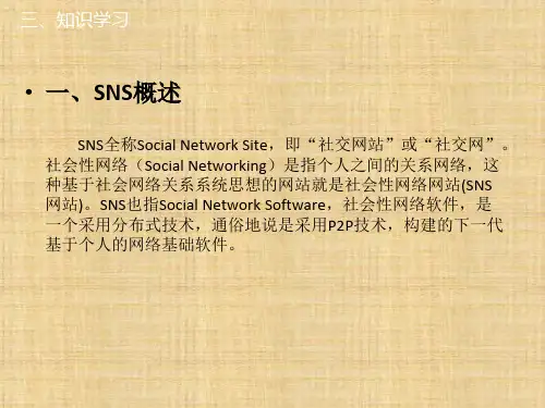 第九章  SNS  《电子商务实务》PPT课件