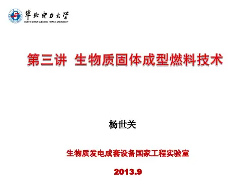 生物质固体燃料成型ppt