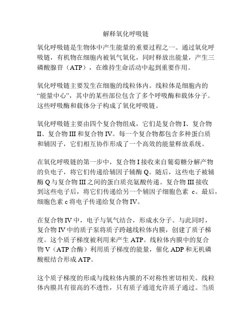 解释氧化呼吸链