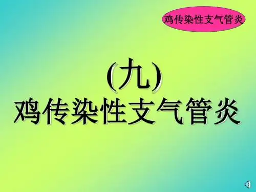 传染性支气管炎0ppt课件
