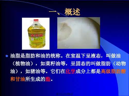 油脂测定