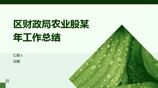 区财政局农业股某年工作总结