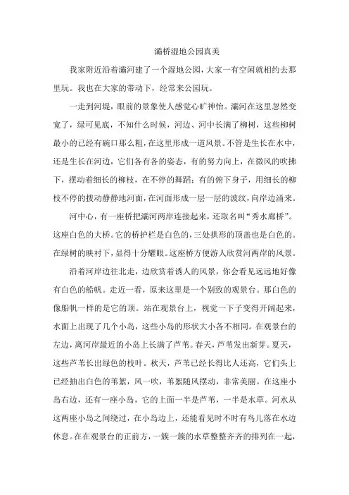 灞桥湿地公园真美