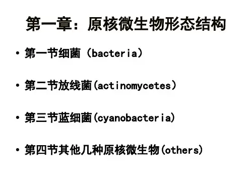 第一章原核微生物的形态结构_PPT幻灯片