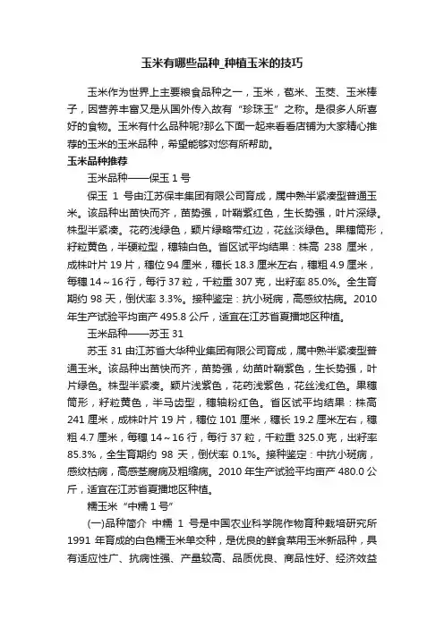 玉米有哪些品种_种植玉米的技巧
