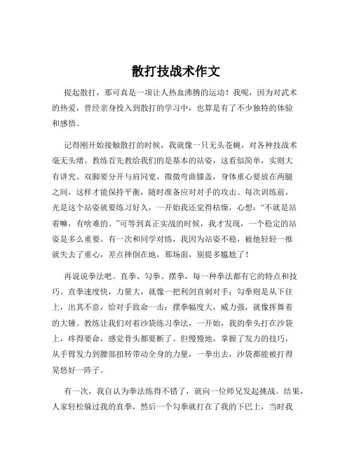 散打技战术作文