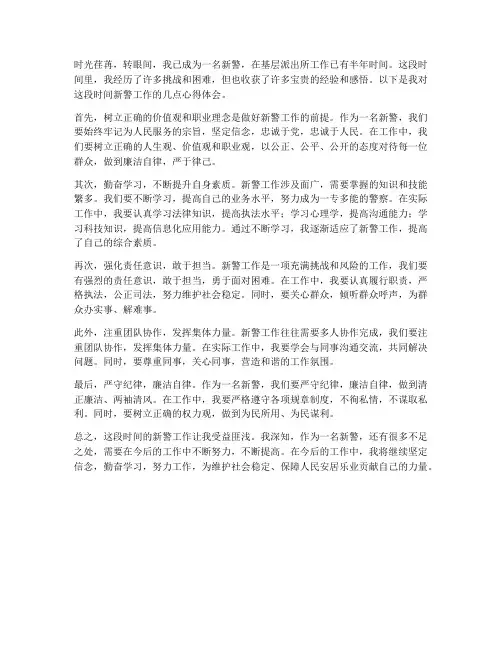 新警工作心得体会