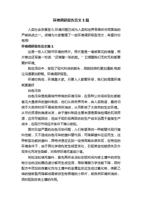 环境调研报告范文3篇
