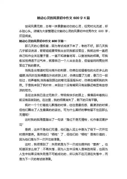触动心灵的风景初中作文600字4篇