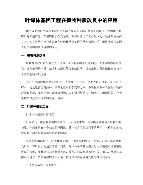 叶绿体基因工程在植物种质改良中的应用