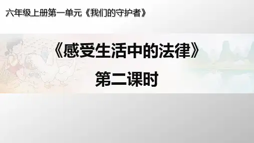最新部编人教版小学道德与法治六年级上册《感受生活中的法律》课件(第二课时)