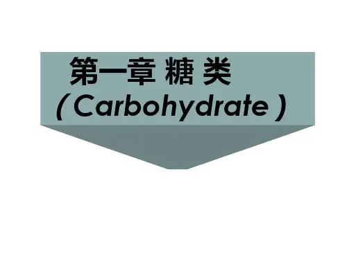 生物化学糖类(第一章)