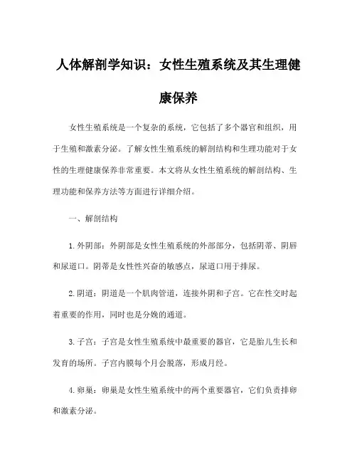 人体解剖学知识：女性生殖系统及其生理健康保养