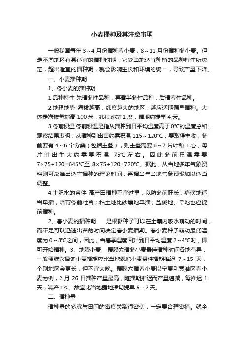 小麦播种及其注意事项
